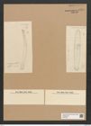 Diatomeae indet. Zeichnungen Sammlung Grunow Nr. 6355 (NHMW-BOT-W0375007)